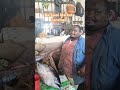 Meet Bonge He Sells The Biggest Fish In Darajani Market Zanzibar Meet Bonge He Sells The Biggest Fish In Darajani Market Zanzibar