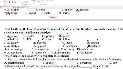 OVERZICHT VAN HET TUSSENTIJDSE EXAMEN VOOR ENGELS 11 GLOBAAL SUCCES (2025-2026) DEEL 1