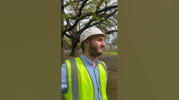 Flying fox inspection