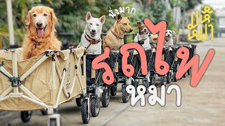 (Eng Sub) When I build a train for my dogs. - Ma Hue Mha EP117