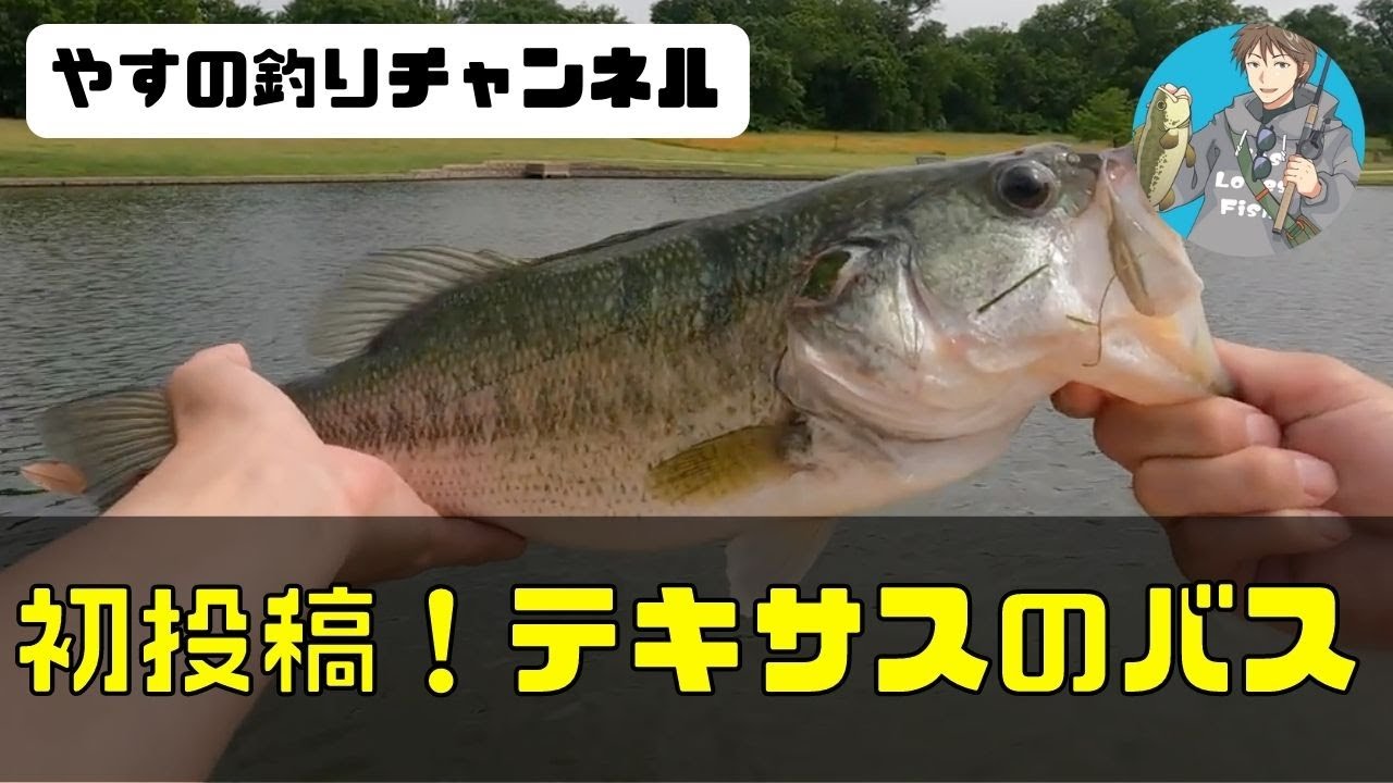 バス釣り テキサスからこんにちは テスト動画 Youtube