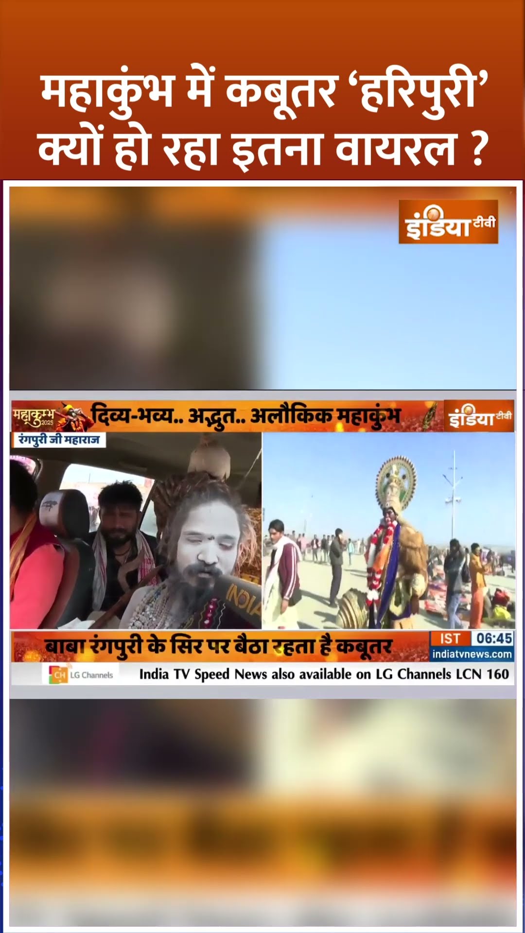 महाकुंभ में कबूतर ‘हरिपुरी’ क्यों हो रहा इतना वायरल ? #mahakumbh2025 #prayagraj #nagasadhu #shorts