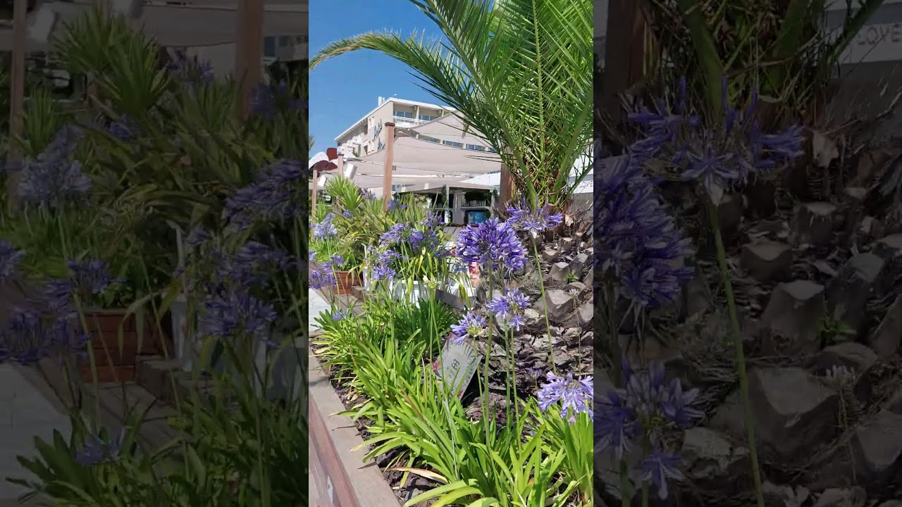 Papeete Milano Marittima Italia