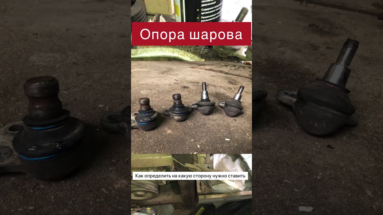 Правая шаровая нексия Правая шаровая нексия