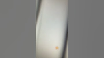 Learning 3D in 30 days 🤯