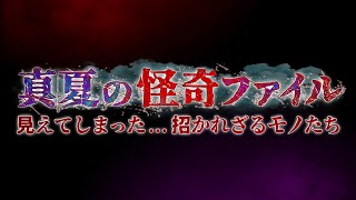 テレ東公式 TV TOKYOの配信のサムネイル画像