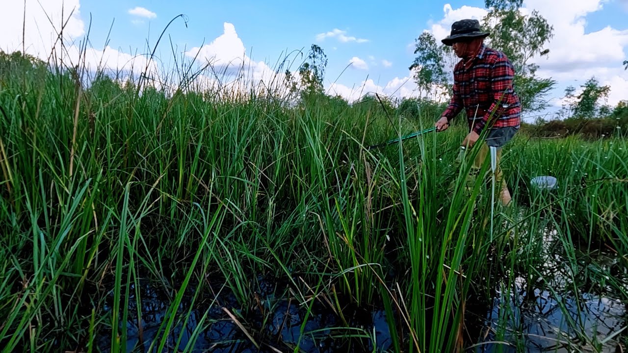 ใส่เบ็ดเหยื่อแมงกระชอนผิดคิวเจอของดีมากินเบ็ดหมานอีกแล้ววันนี้
