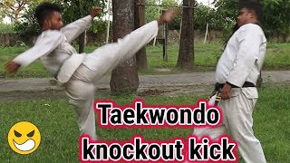 Taekwondo knockout kick | Kick Training At Home Taekwondo knockout kick | Kick Training At Home