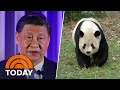 China’s Xi Jinping hints US may receive more pandas