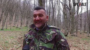 Dove si trova il tartufo bianco?