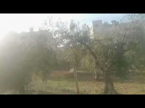 شمال الأردن اربد عروس الشمال