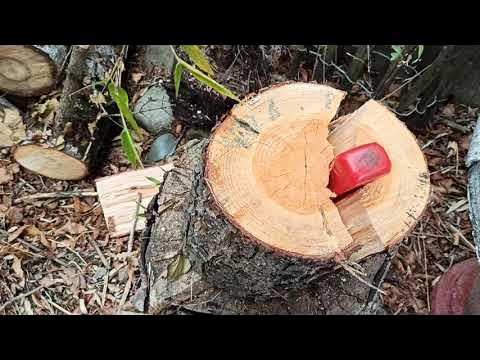 Test du coin éclateur Leborgne 