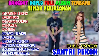 Shinta Arsinta - SANTRI PEKOK || DANGDUT KOPLO FULL ALBUM TERBARU 2023 #shintaarsinta #santripekok