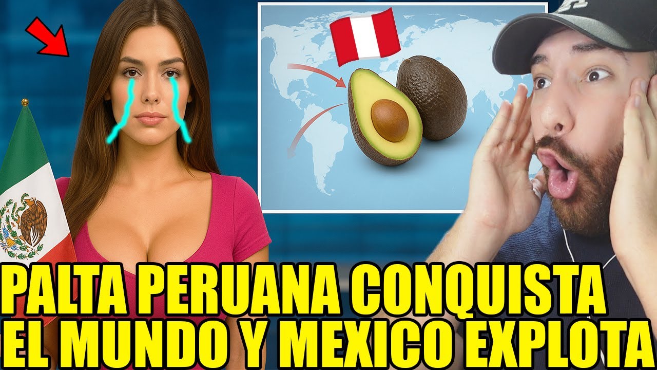 LA PALTA PERUANA DESTRUYE el AGUACATE MEXICANO!! Y PRENSA MEXICANA EXPLOTA!!