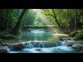 Relaxing Forest Water Sounds 🌙 | Birds Chirping Softly for Deep Sleep and Calm 4