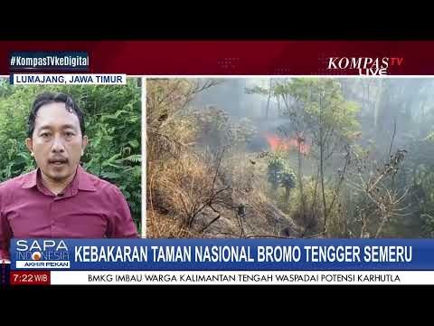 Kebakaran Taman Nasional Bromo tengger Semeru Meluas