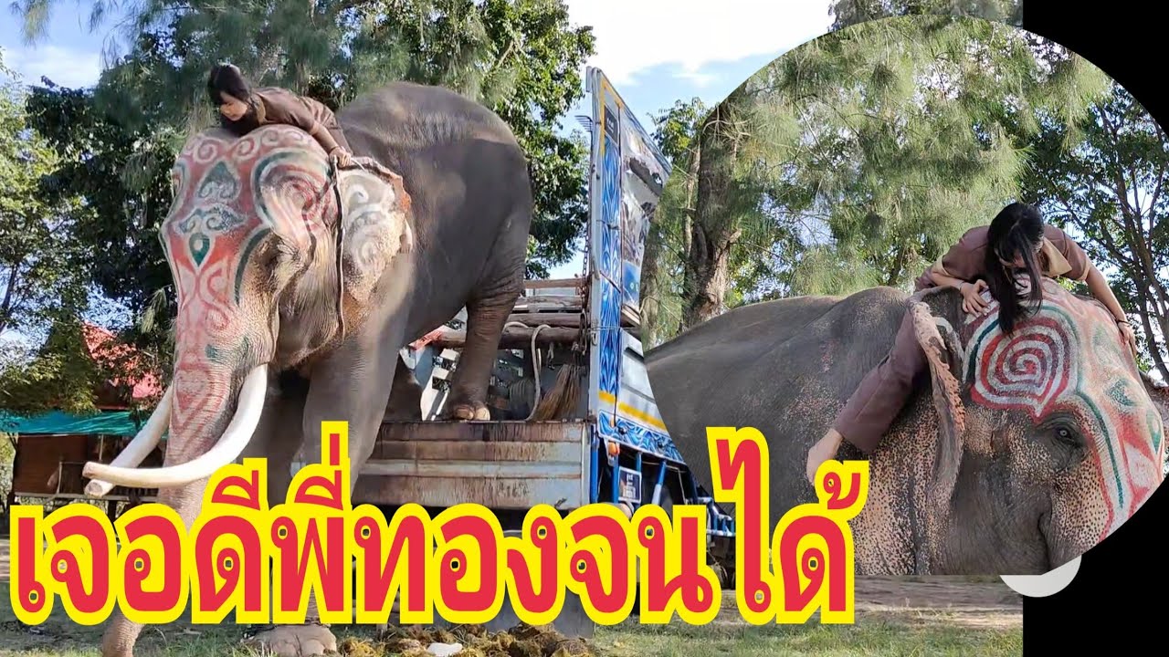 กะปอมโดนพี่ทองแกล้งถึงกับร้องหาพ่อ