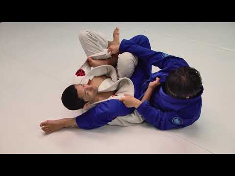 Spider Guard Pass