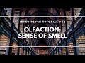 Olfaction: Sense of Smell (Intro Psych Tutorial #52)