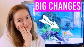 I Finally Did It
Moving my fish to her new tank
My Baby is in her new tank! I was really nervous but shes doing really good! Hope you all enjoy seeing her in there new tank!
*If You Want To Send Me Mail*
PO BOX 1572
White House, Tn
37188
*Business Email: Littlelotti24@hotmail.com
*iNSTAGRAM: LITTLELOTTI24
*SNAP: LITTLELOTTI24
*FAQ
*CAMERA: CANNON G7X Markii
*EDITOR: IMOVIE & FINAL CUT PRO
***ALL ITEMS PURCHASED BY ME AND ALL OPINIONS ARE MY OWN. ALL MUSIC IS ROYALTY FREE, AND NOT MY OWN.*** I Finally Did It