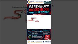 Earthworm Closed Blood Vascular System | NEET Biology