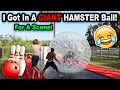 I GOT IN A GIANT HAMSTER BALL!!! *BTS*