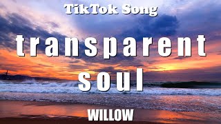 WILLOW - t r a n s p a r e n t s o u l (I Knew A Boy Just Like You) (Lyrics) - TikTok Song