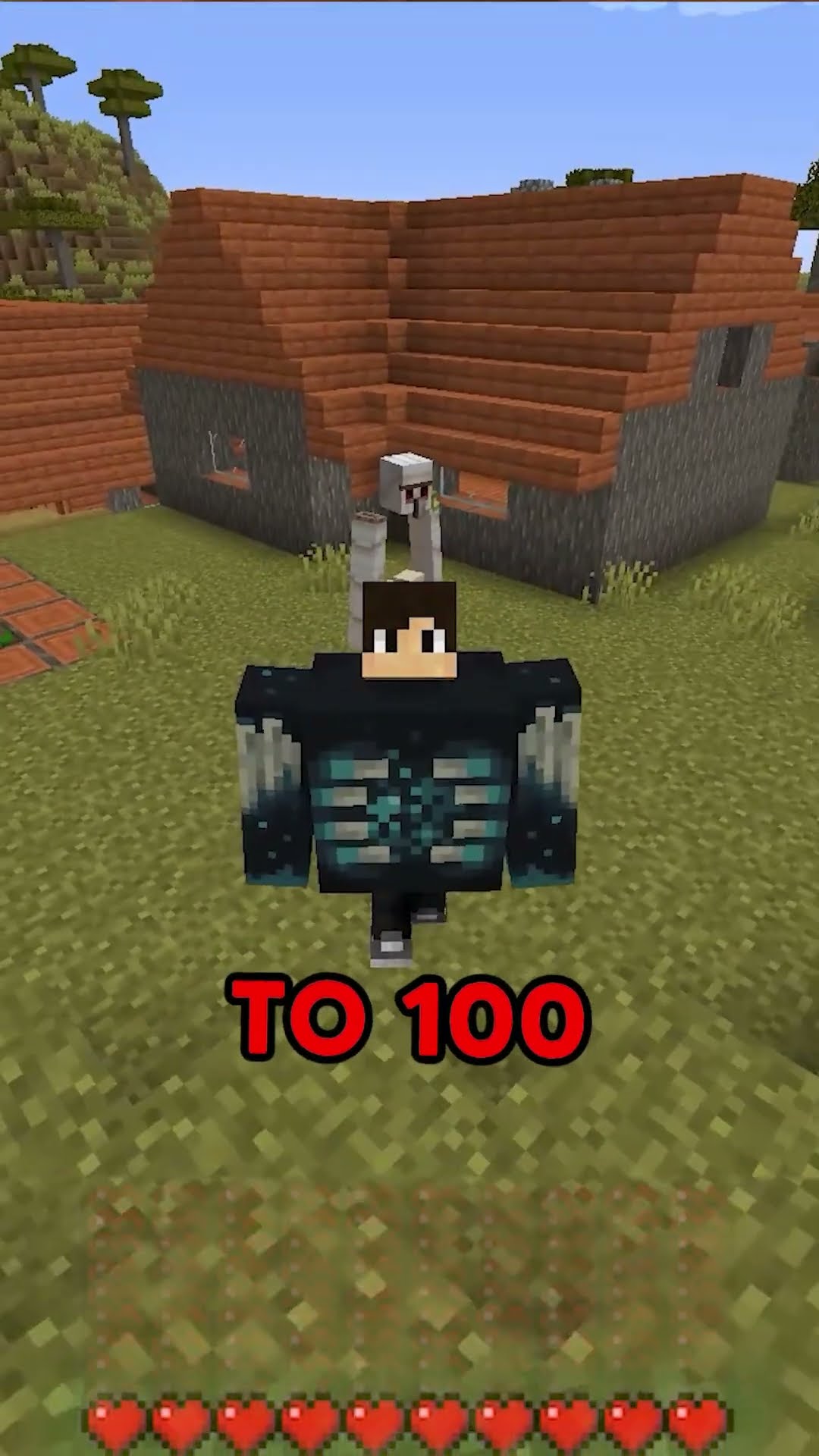 Minecraft, But I Become a Warden