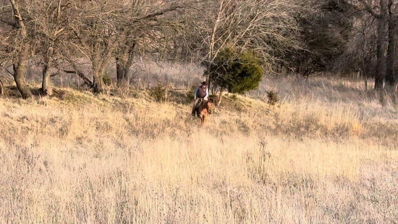 WATCHMY STRATEGY JMK