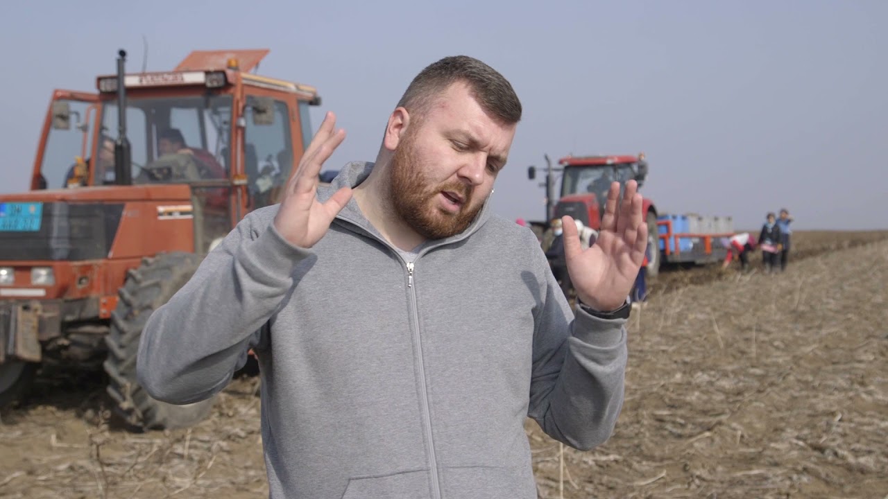 Vadjenje rena u Mandjelosu - U nasem ataru 889