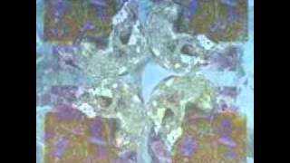 TRANSGRESSION- Framed In Pain