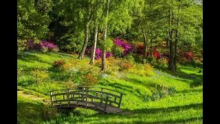 MTVA: Don't Waste My Time (Victor Lundberg)