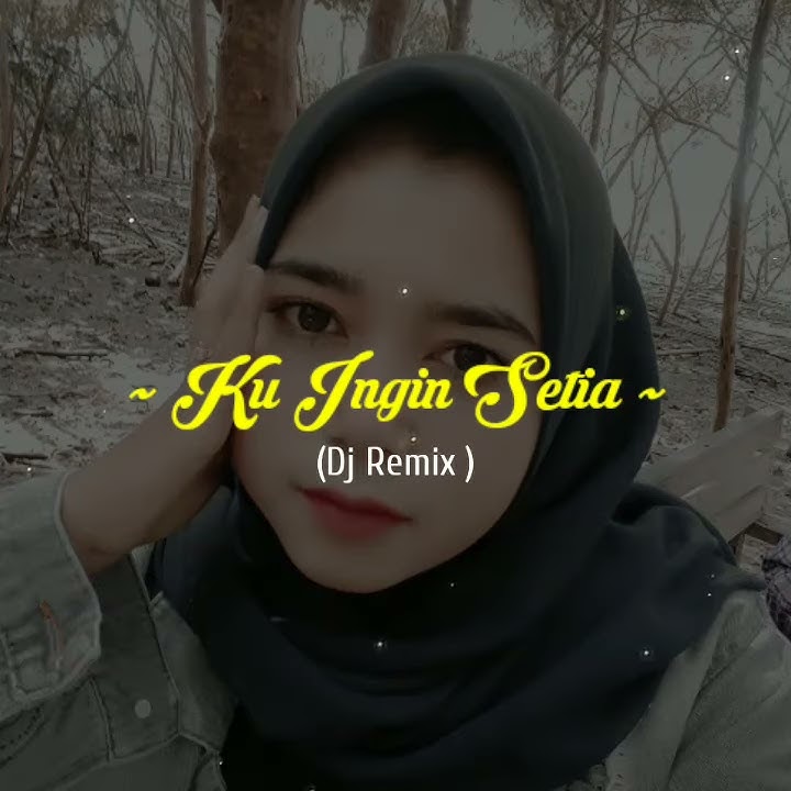 STORY WA / Ku Ingin Setia Lirik // DJ REMIX