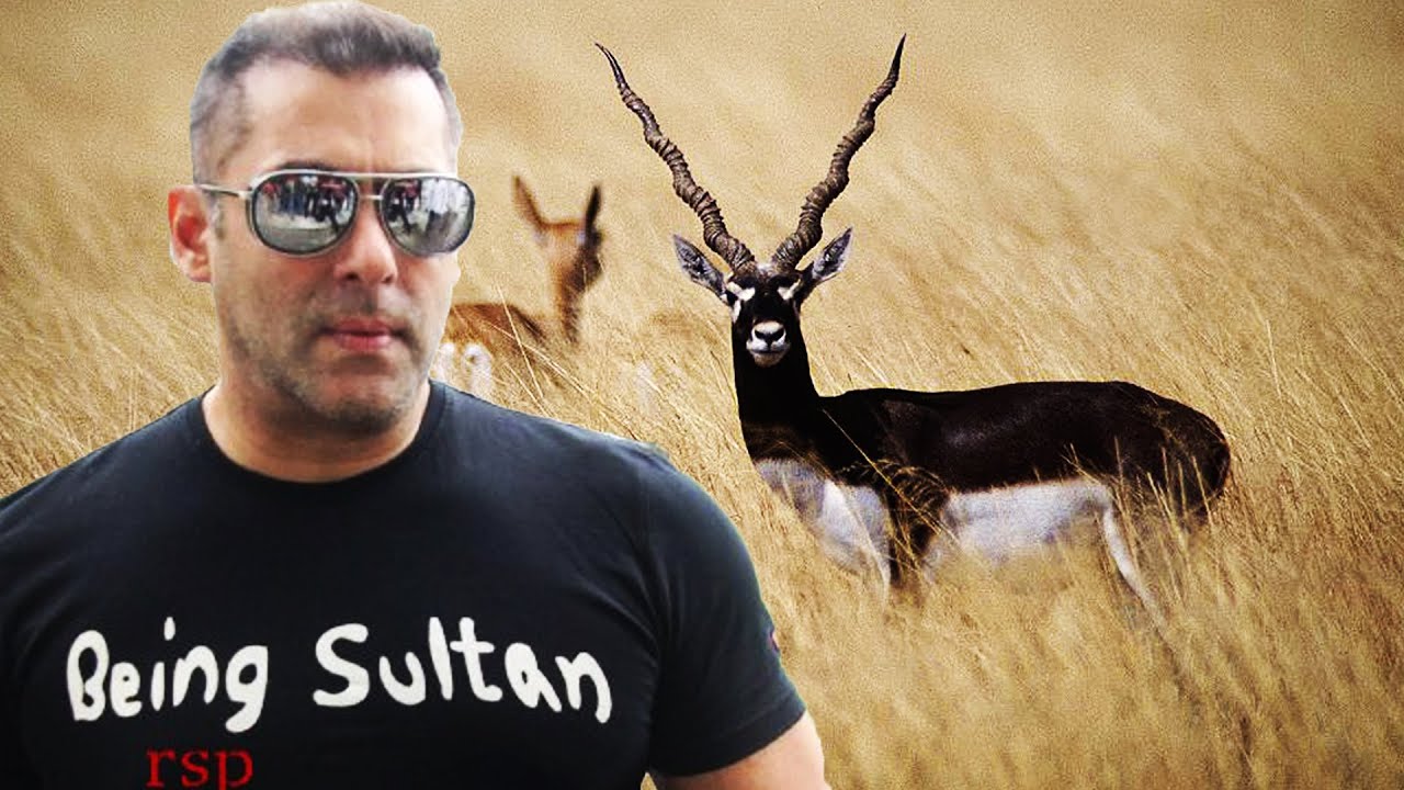 Image result for Salman Khan and Antelope