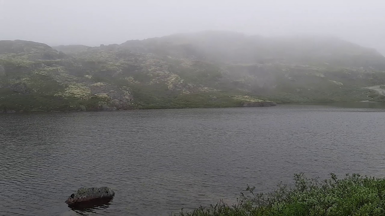 муста тунтури - YouTube