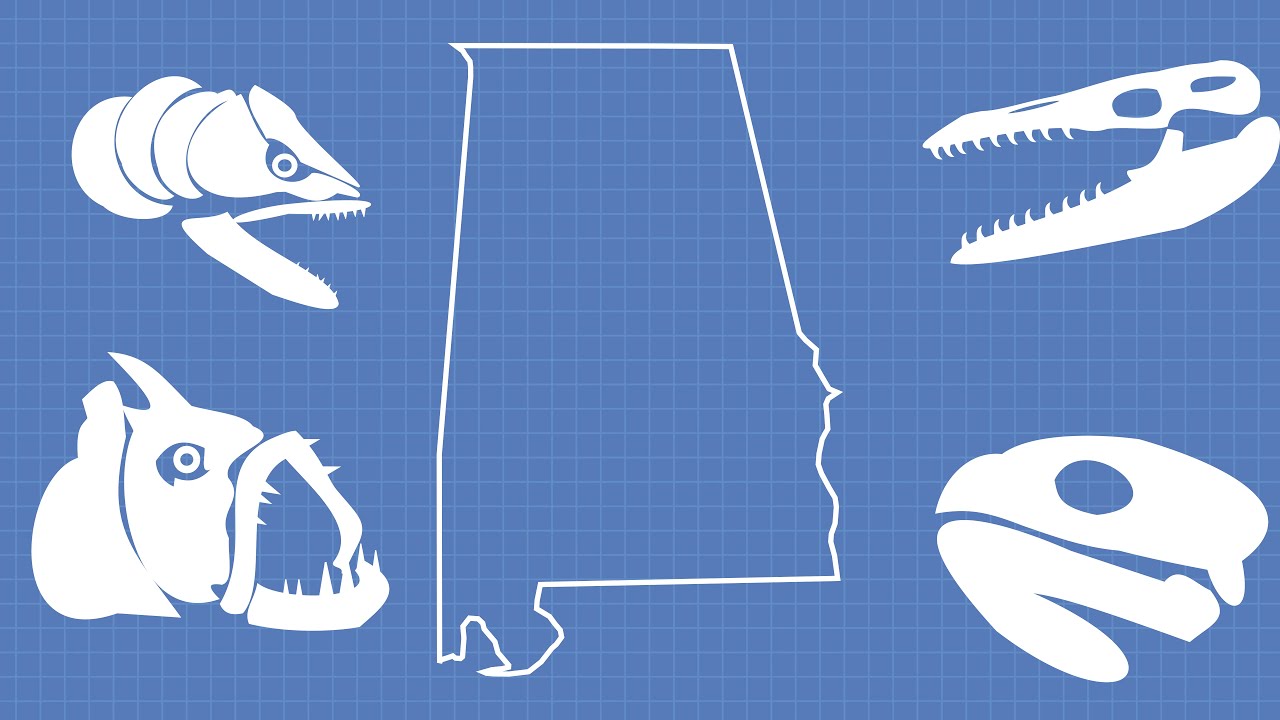 McWane Collections: Ancient Alabama