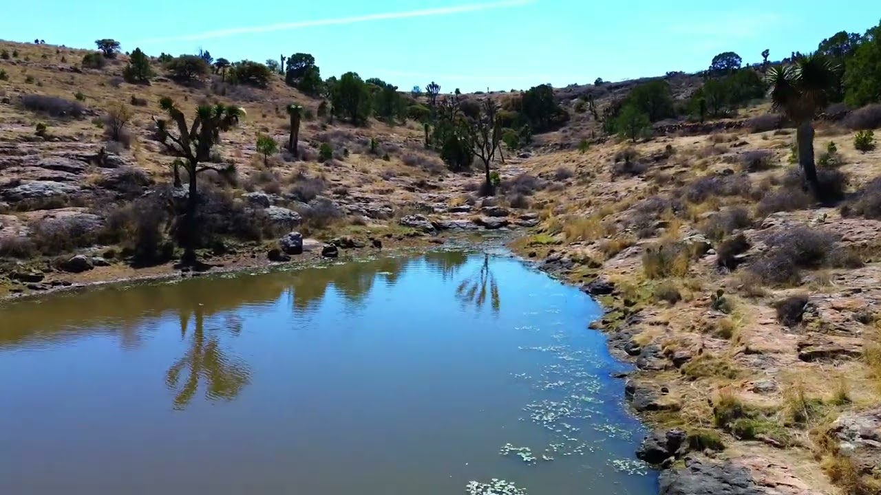 Inmobiliaria Va&Ta tenemos terrenos campestres a solo 45 min de León Guanajuato.