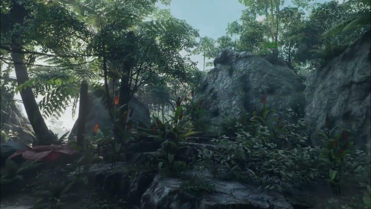 Tropical Jungle Forest VR Oculus Quest 2 RTX3080 Unreal Engine UE4