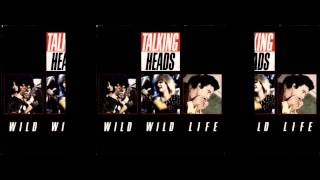 Talking Heads - Wild Wild Life (early demo) chords