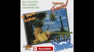 Conjunto Tropical Playa Mar - Dicen Que Se Perdio