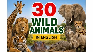 30 Wild Animals For Kids Learn Wild Animal Names What They Eat Preschool Learning