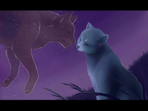Коты-воители Синяя Звезда и Жолудь  ~Извени, что сердце колит - болит~