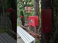 Fire safety pipe line work hydrant system..?? #fireworks #hosepipe #pipeline