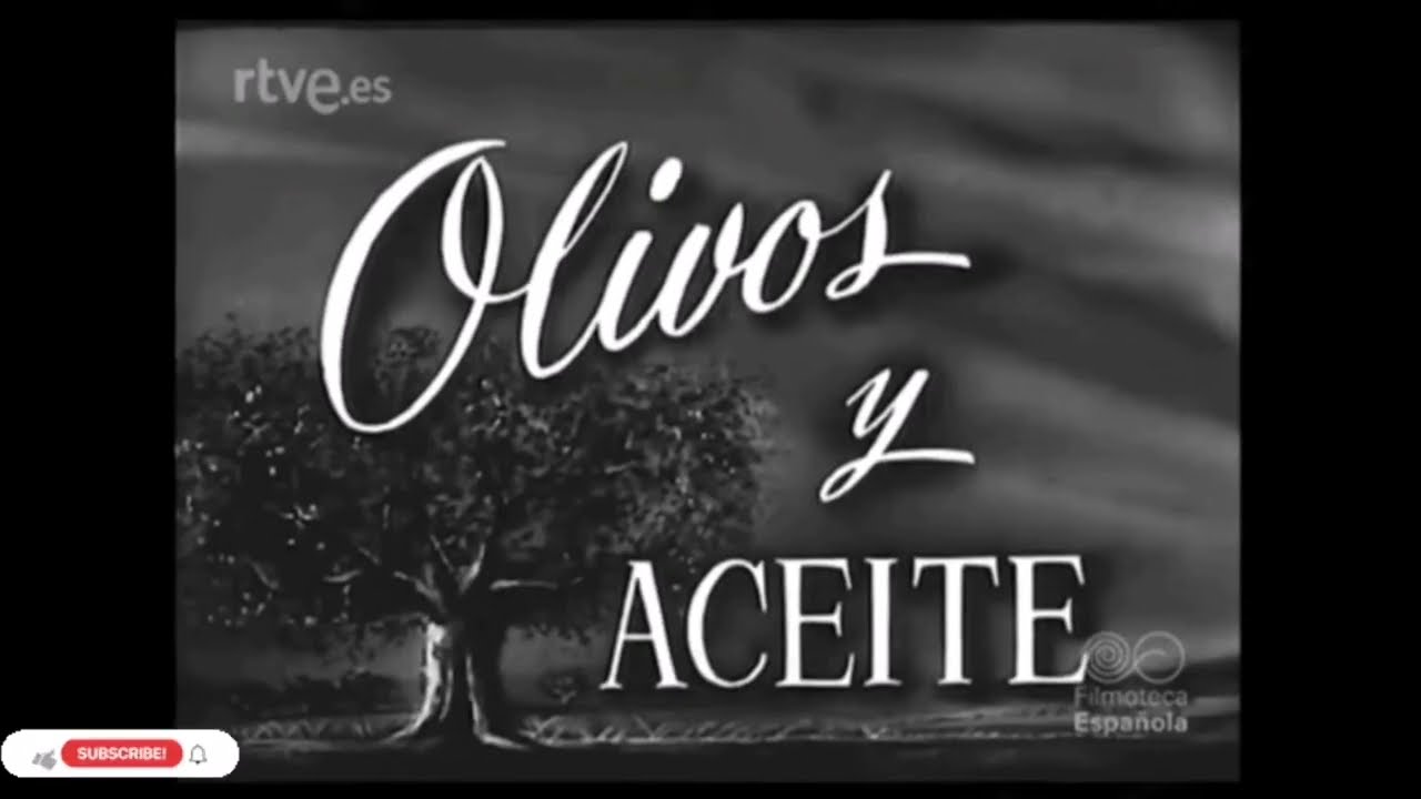 Recojida y molienda de aceitunas 1950