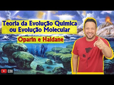 Vídeo: Qual é a evolução química?