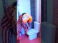 Aventura en el baño #shorts #shortsvideo #somosamigos #prank