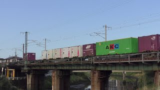 【JR貨物】1056レ EF81-716 AKC新コン積載