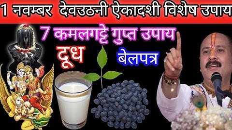 1 नवंबर कार्तिक देवउठनी एकादशी, 7 कमलगट्टे गुप्त उपाय दूधबेलपत्र।। Pandit Pradeep Mishra ji ।।