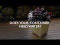 3 Ways To Know When To Water | Monrovia Garden