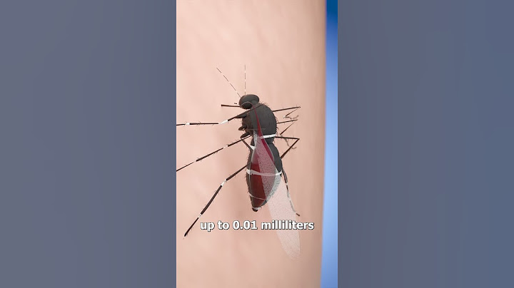 How Many Mosquitos To Suck All Your Blood? 😨